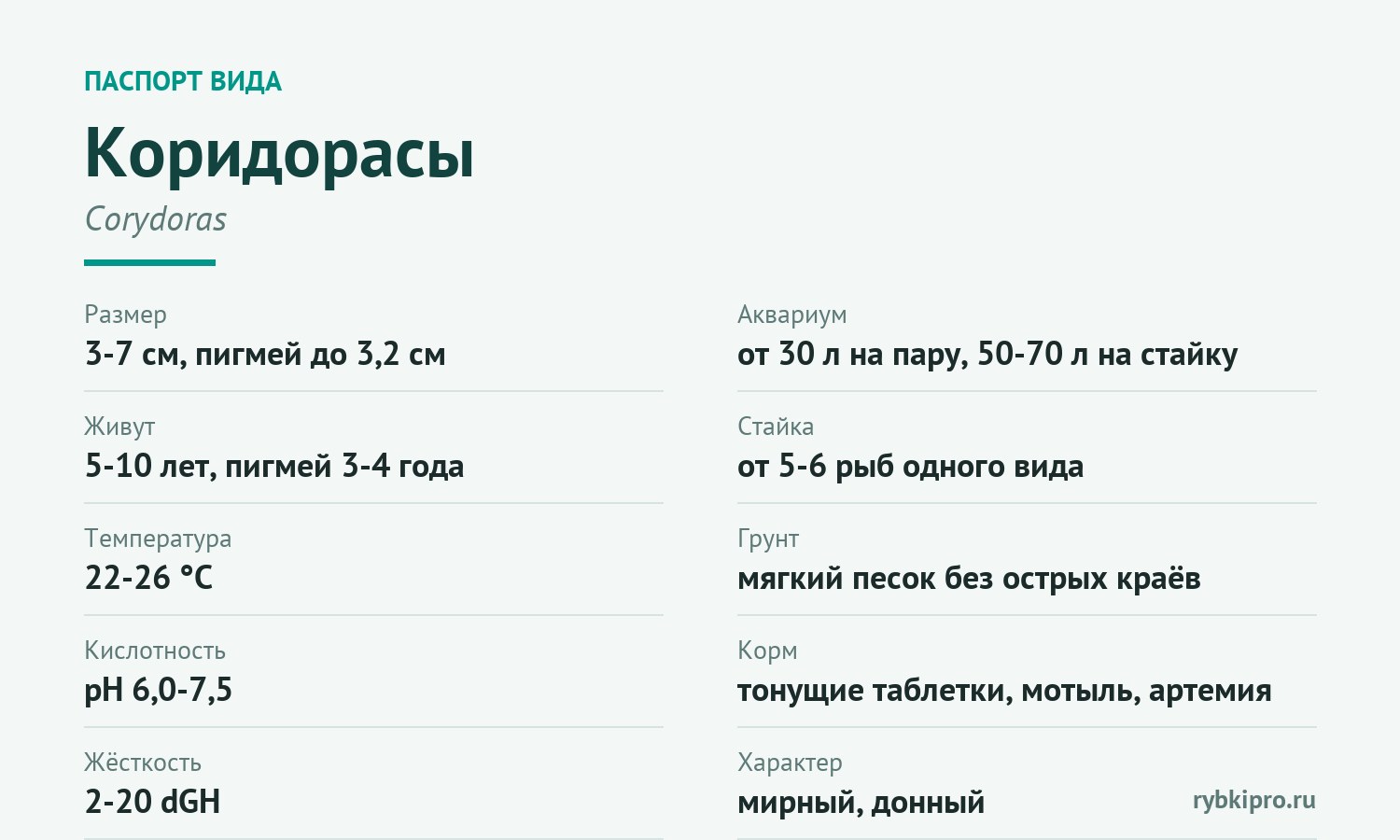 Главные параметры содержания коридорасов в одной карточке