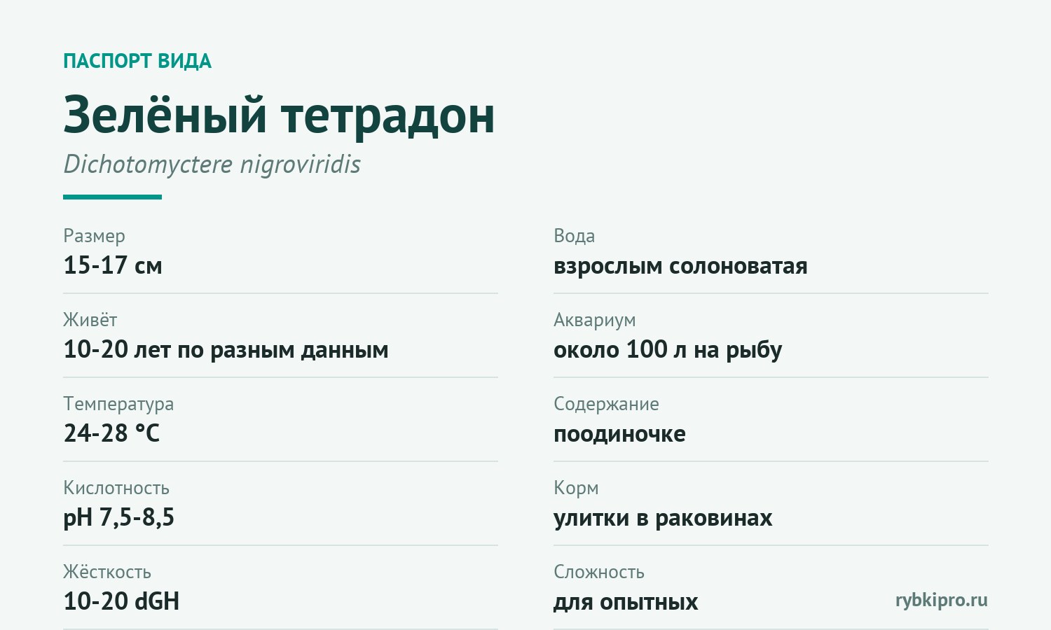 Главные параметры содержания зелёного тетрадона в одной карточке