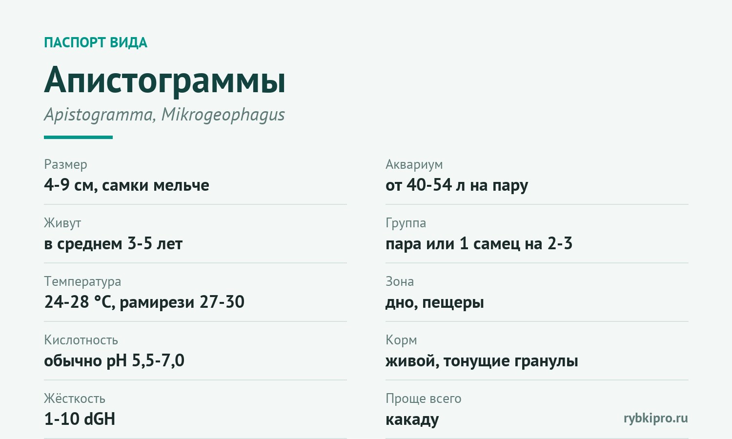 Главные параметры содержания апистограмм в одной карточке