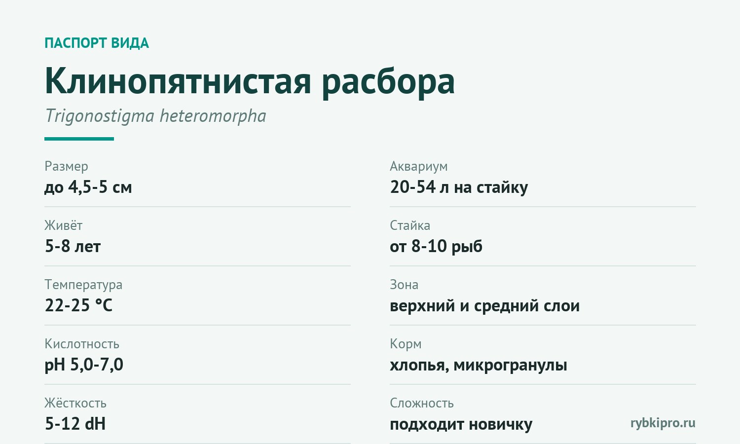 Главные параметры содержания клинопятнистой расборы в одной карточке