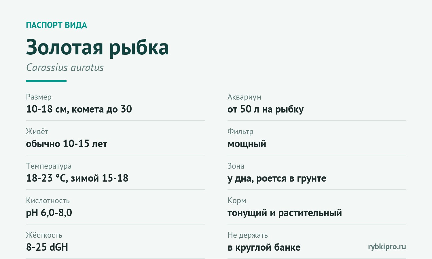 Главные параметры содержания золотой рыбки в одной карточке