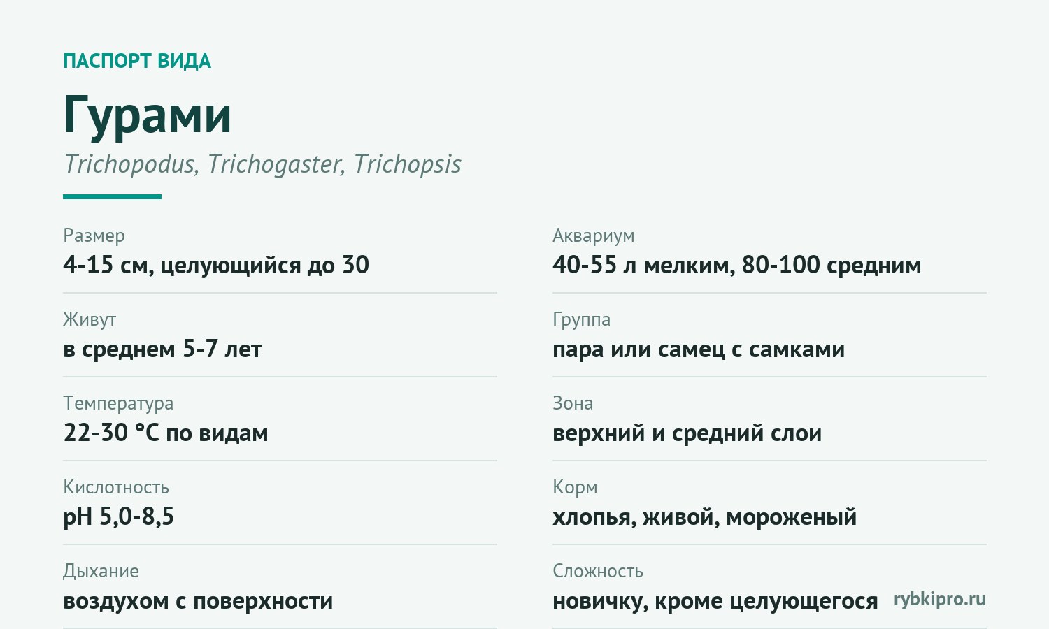 Главные параметры содержания гурами в одной карточке