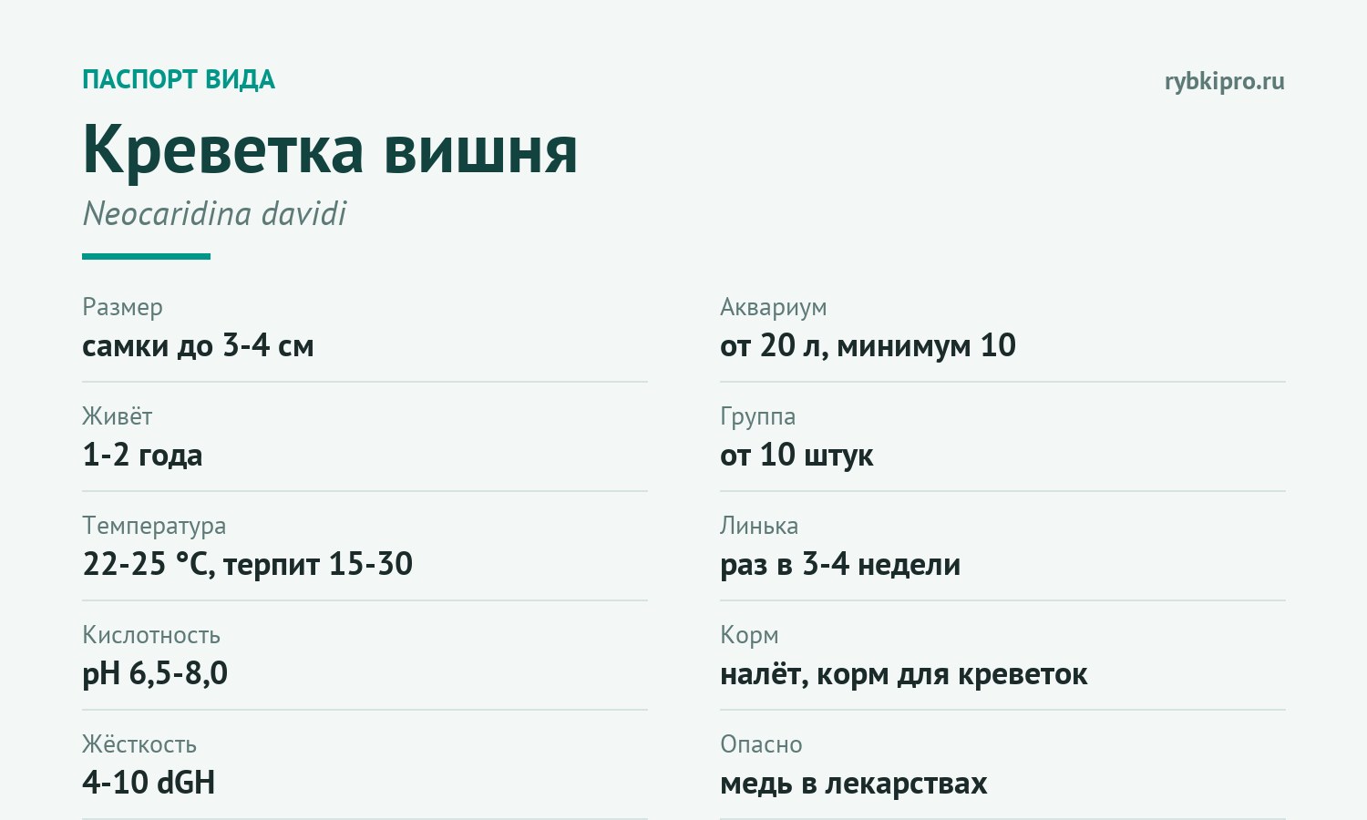 Главные параметры содержания креветки вишни в одной карточке