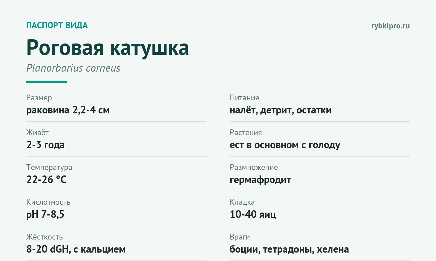 Главные параметры содержания роговой катушки в одной карточке