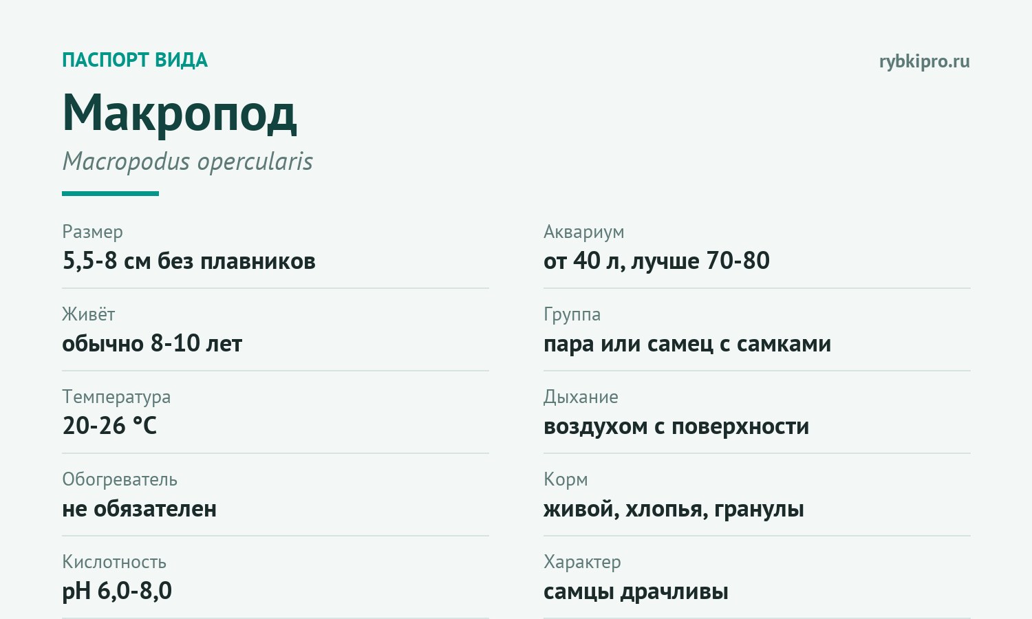 Главные параметры содержания макропода в одной карточке