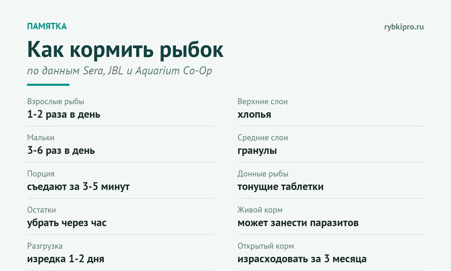 Главные правила кормления аквариумных рыбок в одной карточке