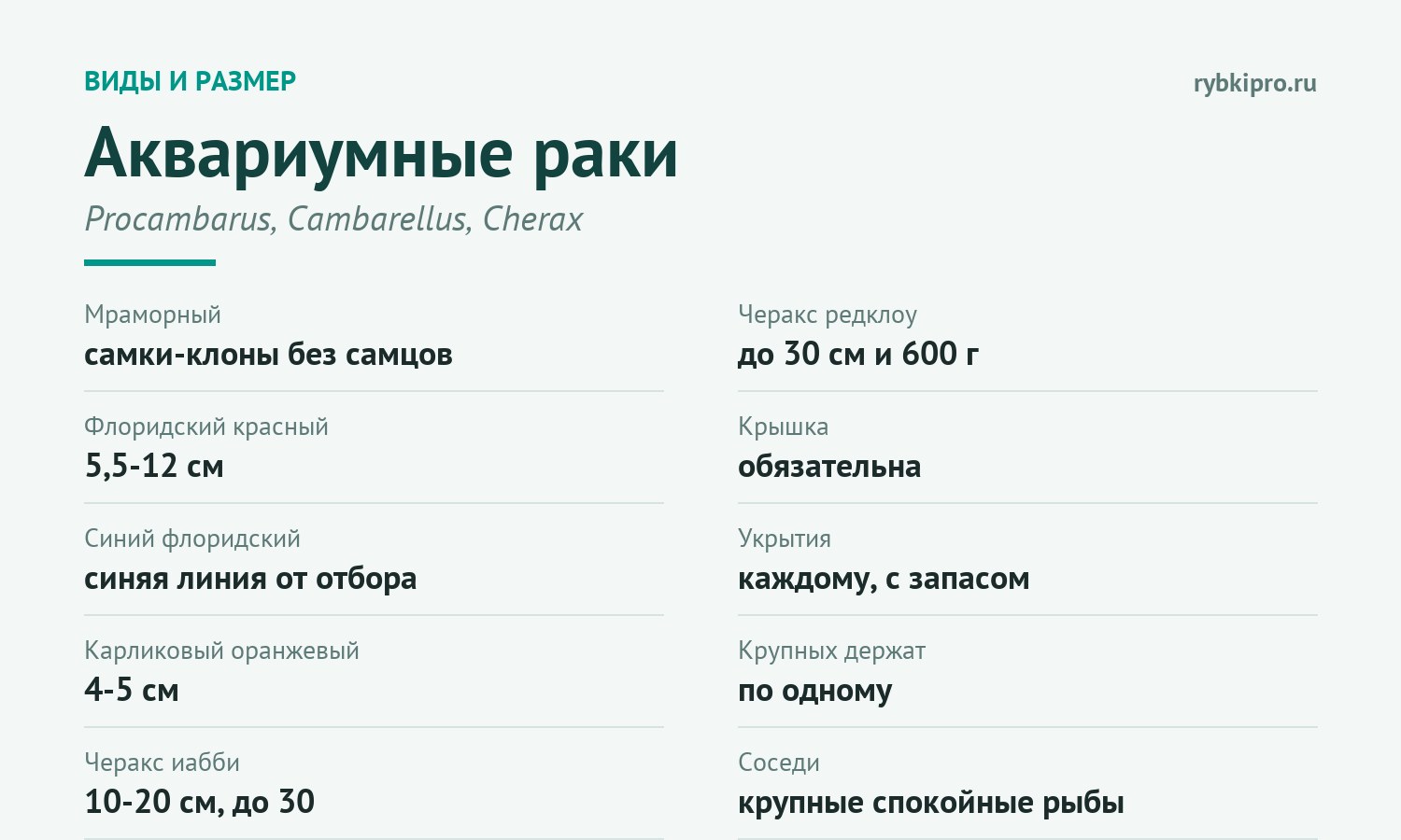 Популярные аквариумные раки и их размер в одной карточке
