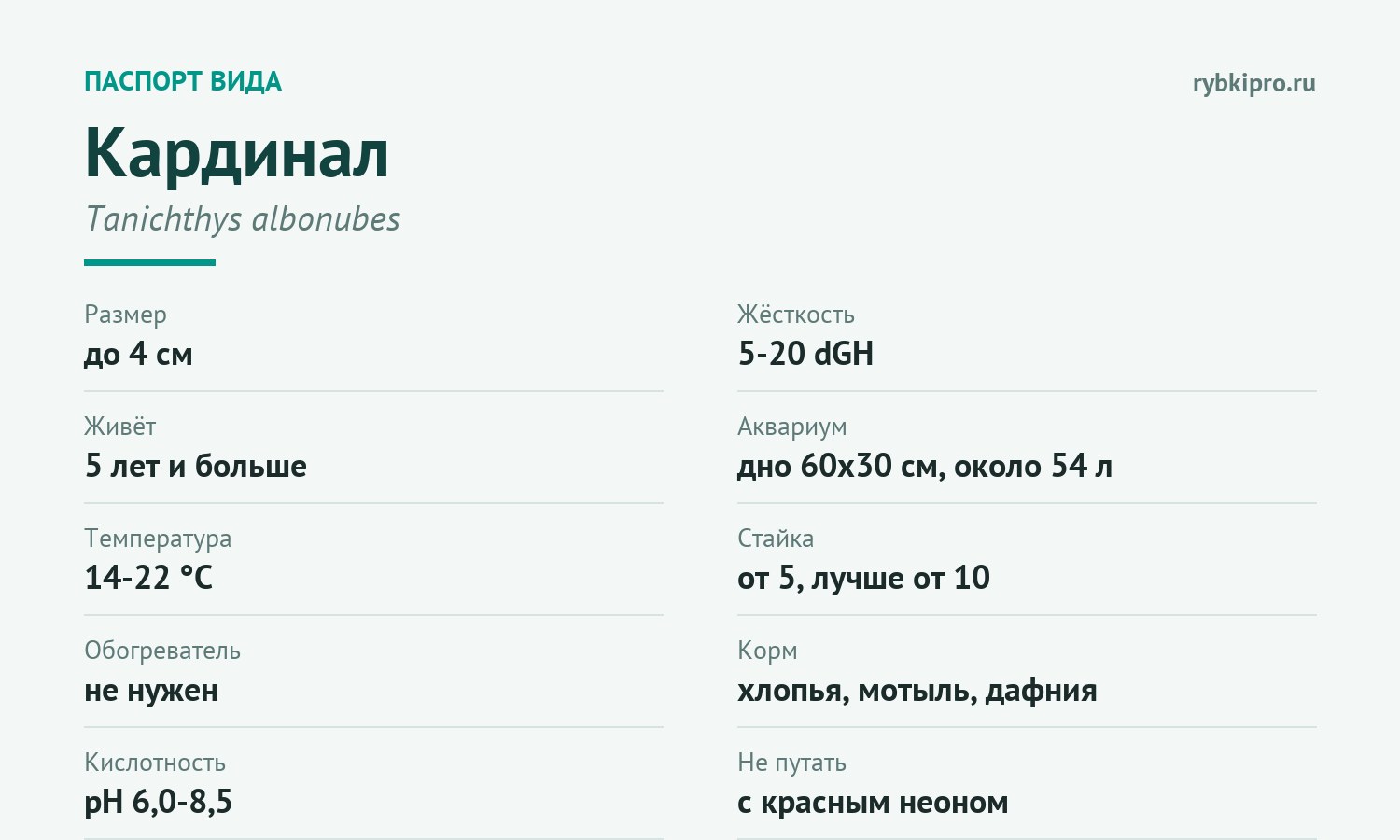 Главные параметры содержания кардинала в одной карточке