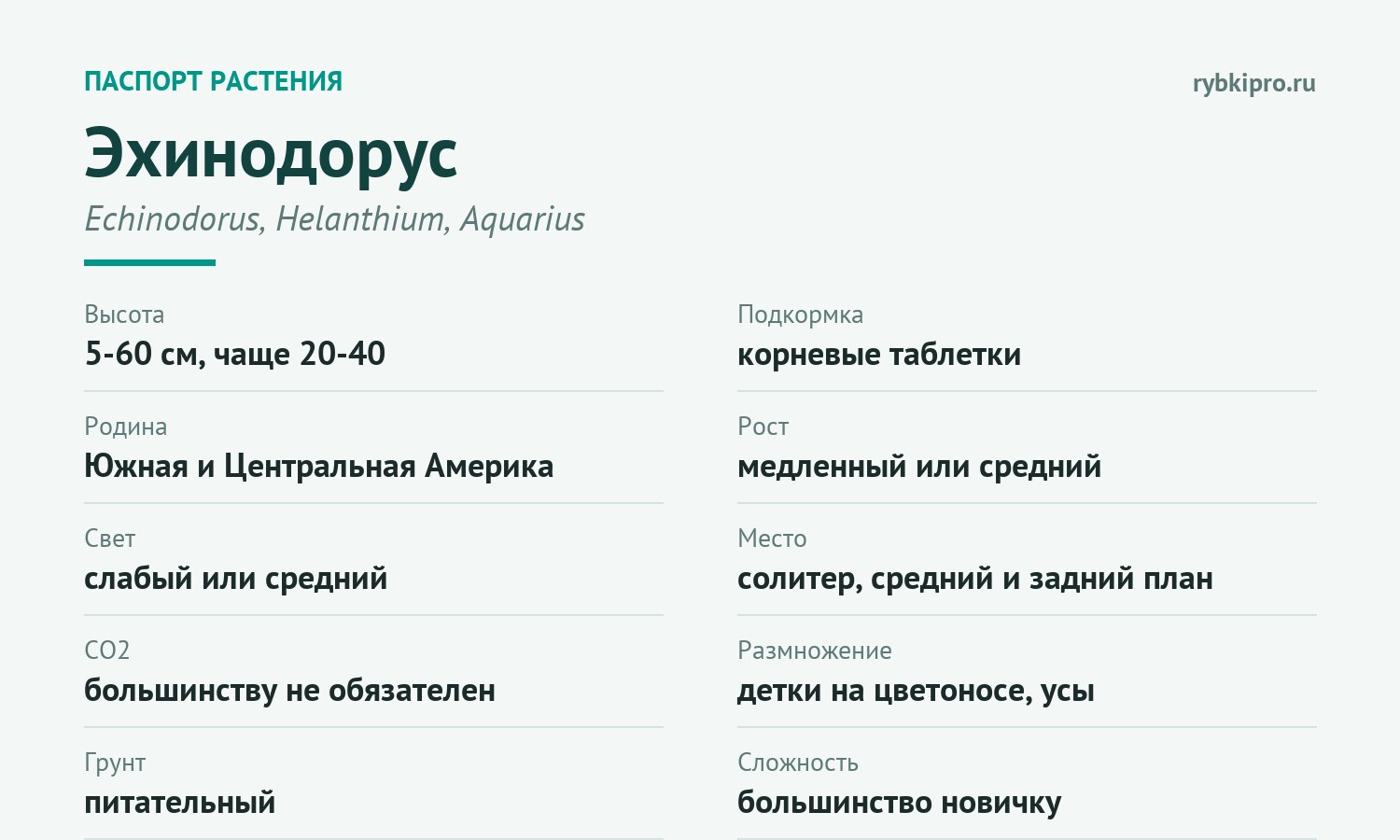 Главные параметры содержания эхинодоруса в одной карточке