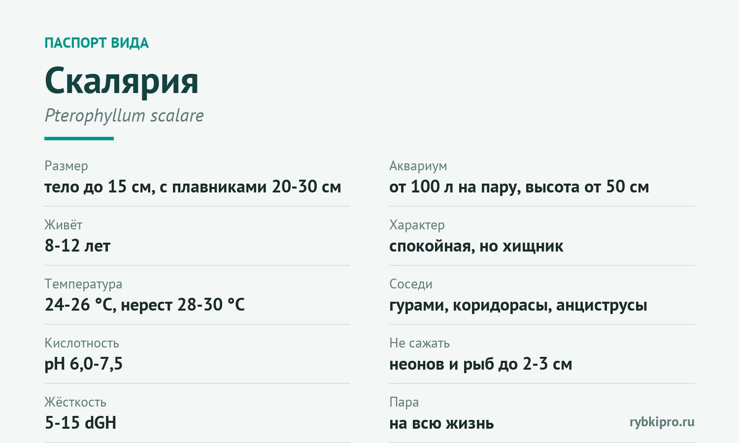 Главные параметры содержания скалярии в одной карточке