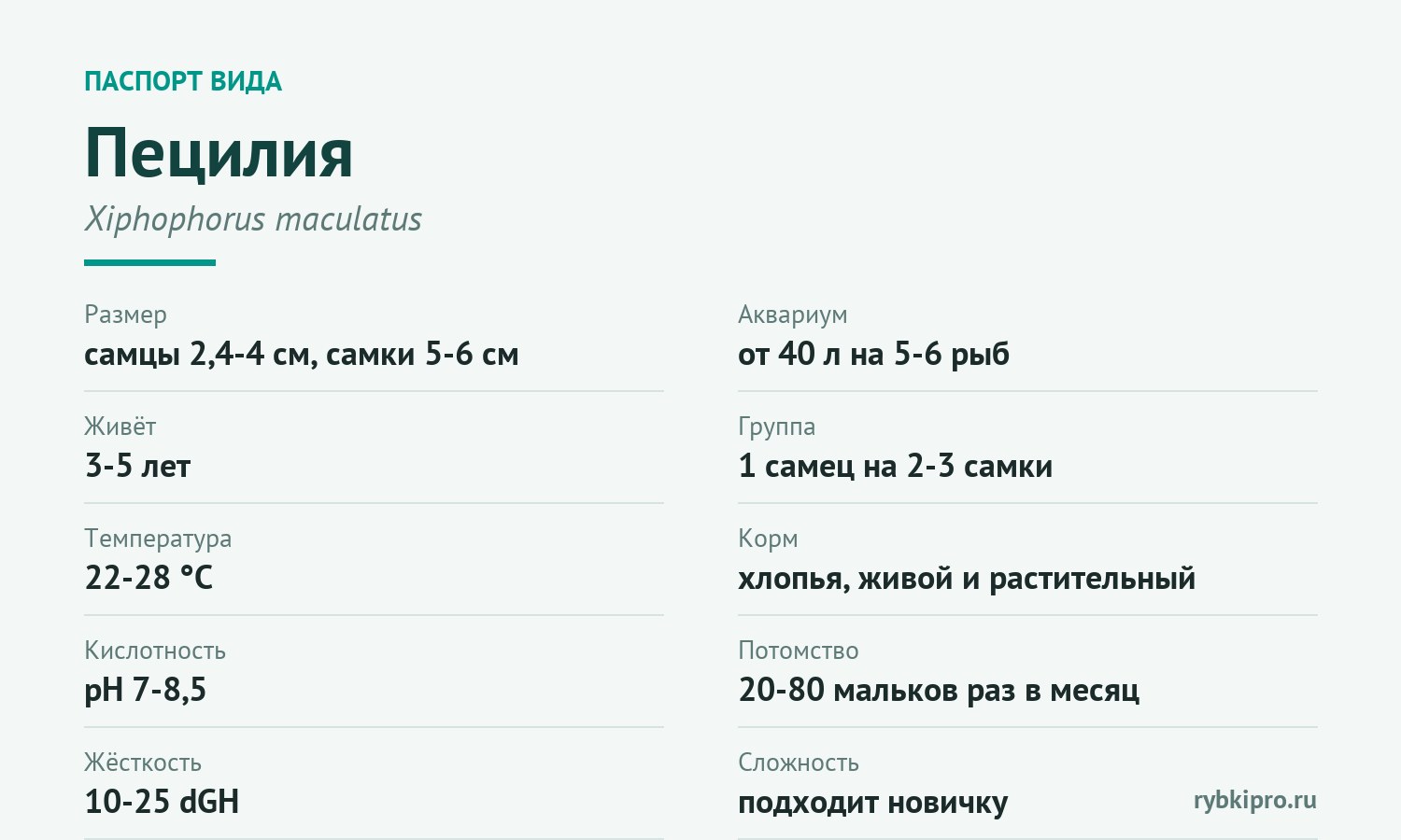 Главные параметры содержания пецилии в одной карточке