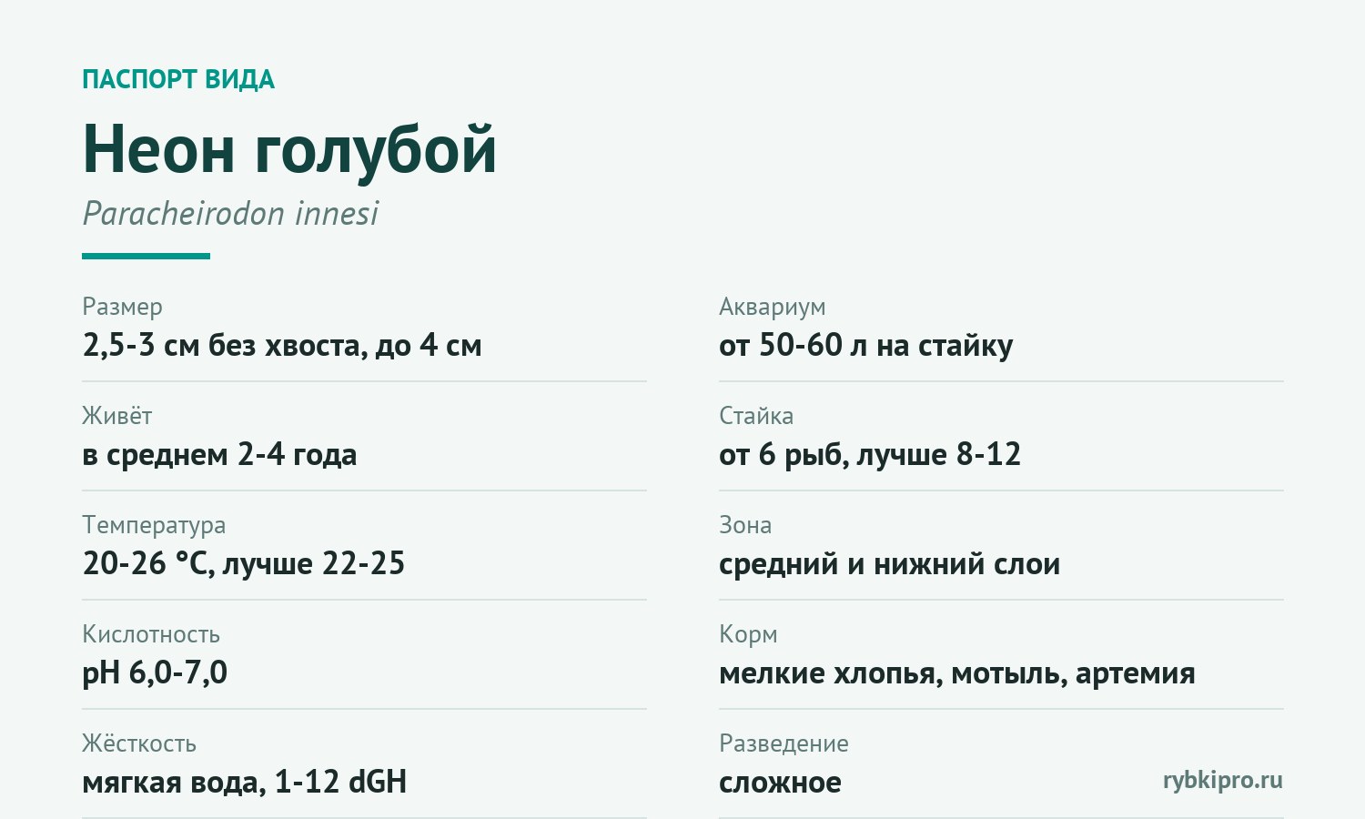 Главные параметры содержания голубого неона в одной карточке