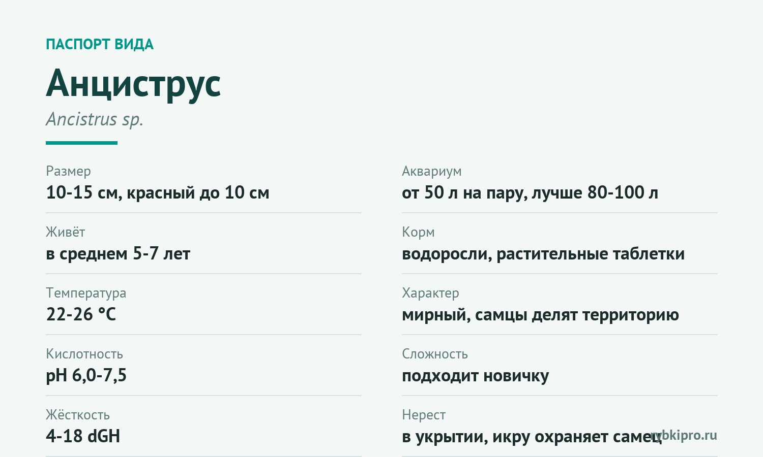 Главные параметры содержания анциструса в одной карточке