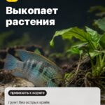 Факт 2: Выкопает растения, грунт без острых краёв