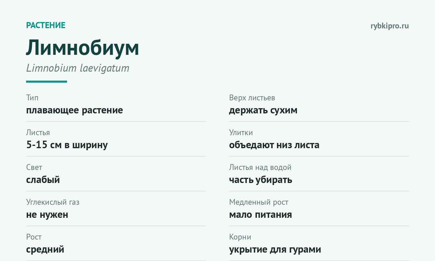 Главное о содержании лимнобиума в одной карточке