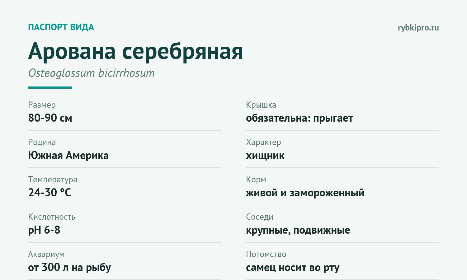 Главные параметры содержания серебряной арованы в одной карточке