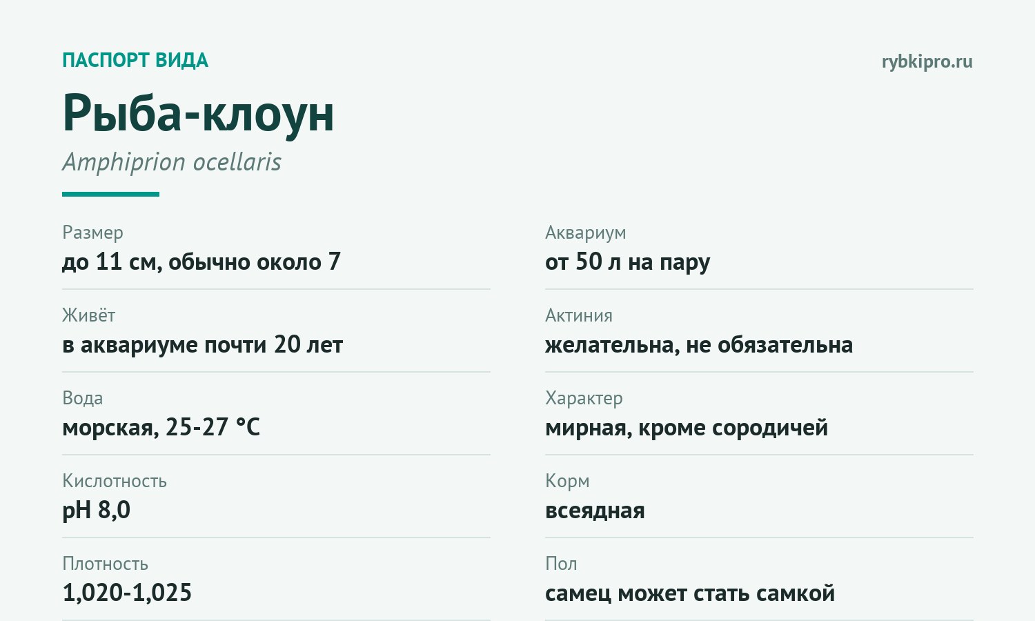 Главные параметры содержания рыбы-клоуна в одной карточке