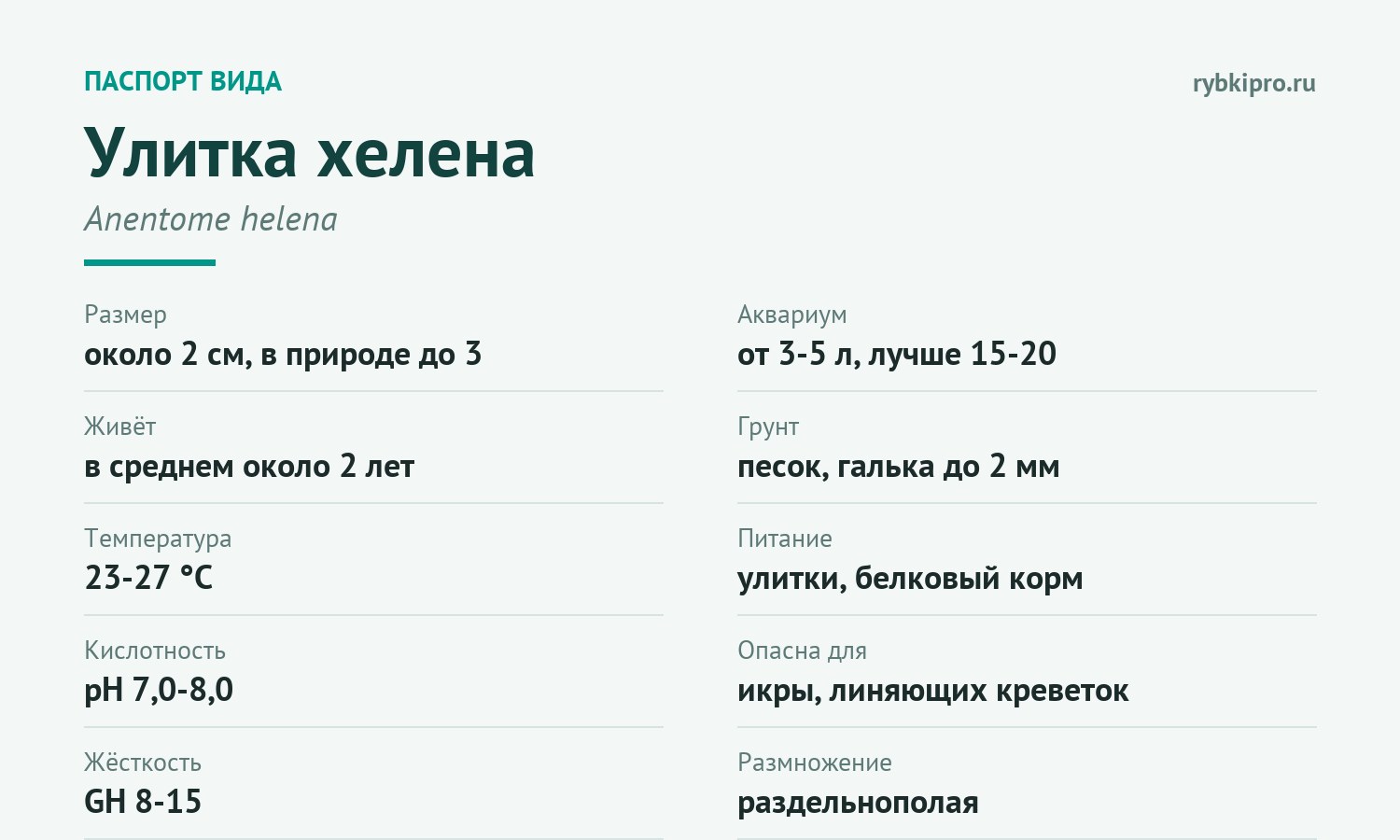 Главные параметры содержания улитки хелены в одной карточке