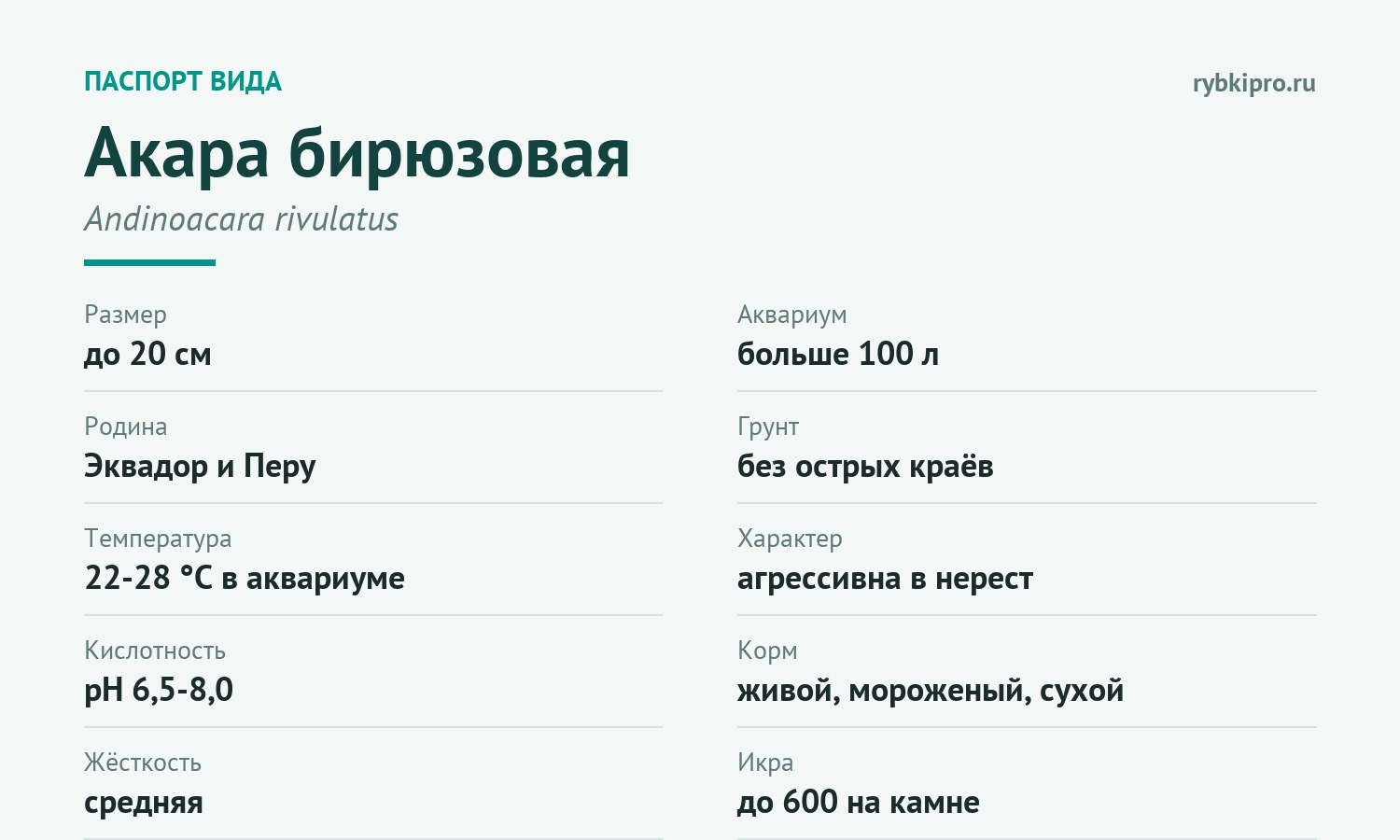 Главные параметры содержания бирюзовой акары в одной карточке