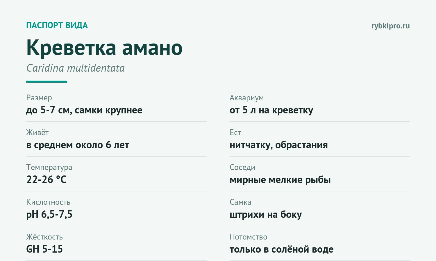 Главные параметры содержания креветки амано в одной карточке