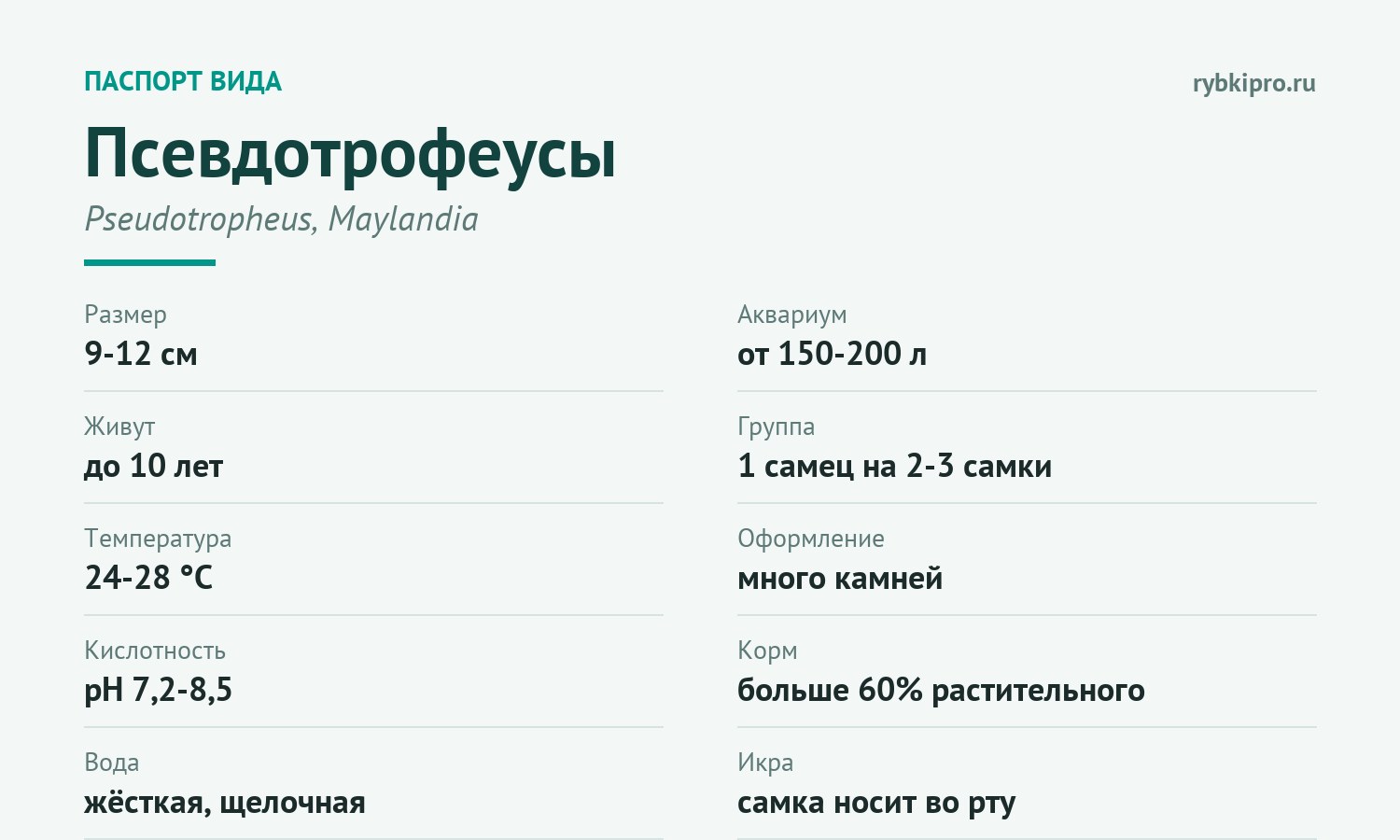 Главные параметры содержания псевдотрофеусов в одной карточке