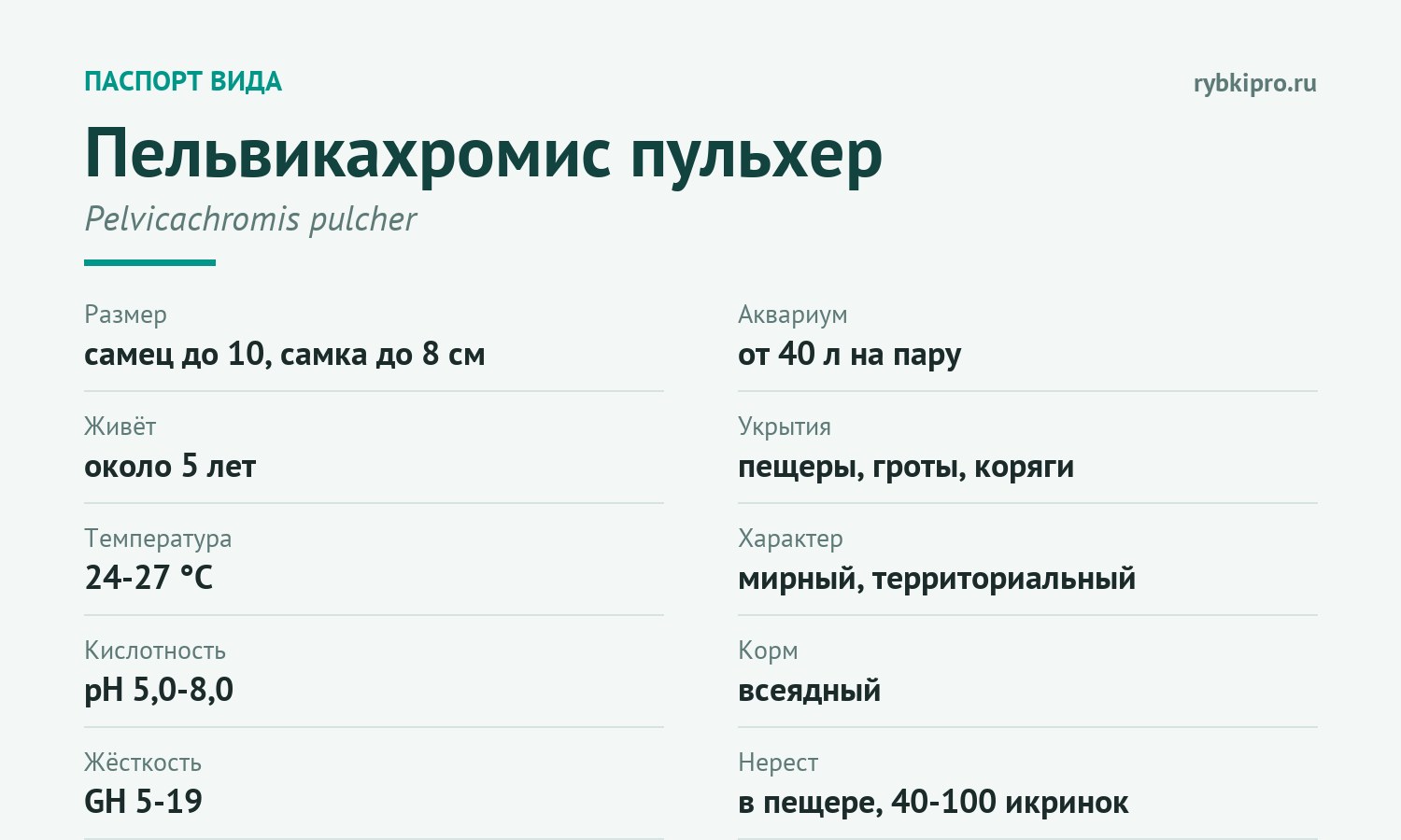 Главные параметры содержания пельвикахромиса в одной карточке