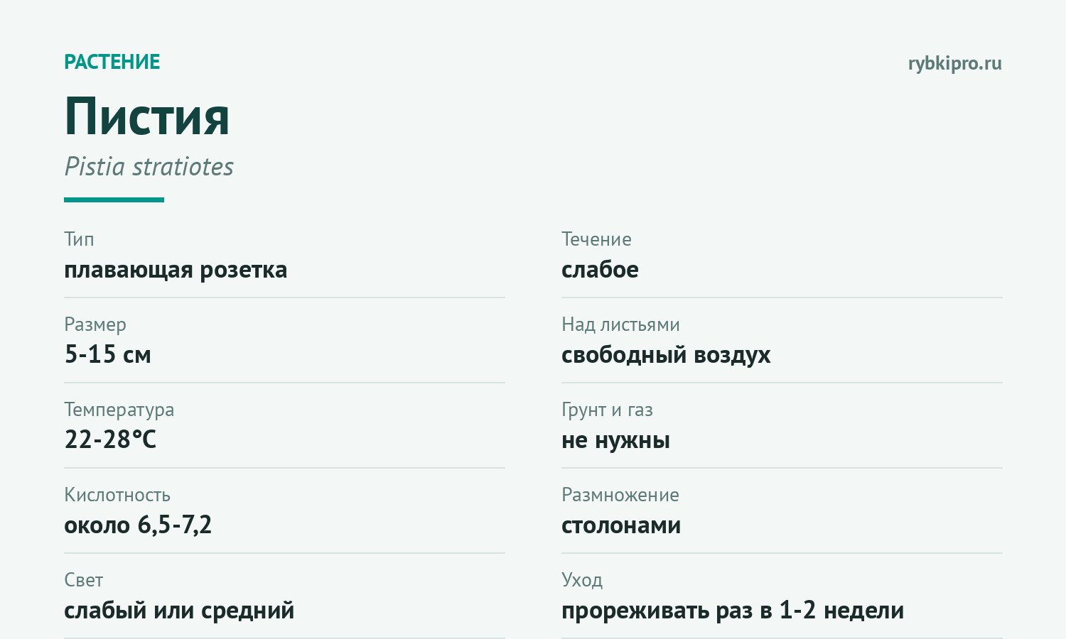 Главное о содержании пистии в одной карточке