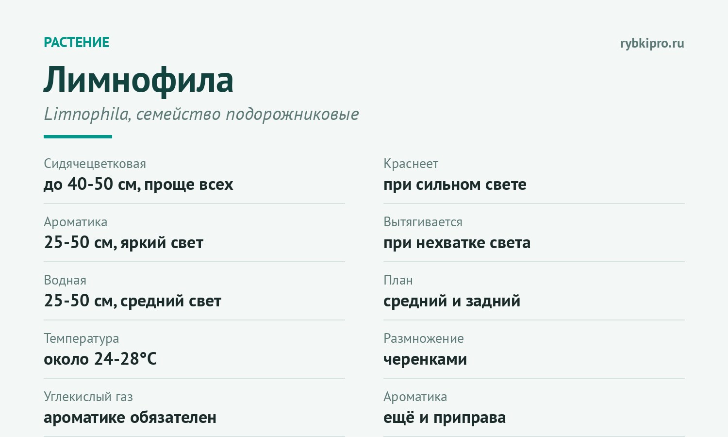 Главное о содержании лимнофилы в одной карточке