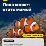 Правда 2: Папа может стать мамой, все рождаются самцами