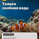 Правда 3: Только солёная вода, в пресной погибнет