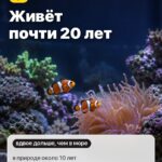 Правда 4: Живёт почти 20 лет, в природе около 10 лет