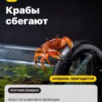 Правило 2: Крабы сбегают, лезут по шлангам и проводам