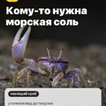 Правило 4: Кому-то нужна морская соль, уточните вид до покупки