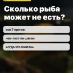 Сколько рыба может не есть?: все 7 причин, чек-лист по шагам, когда это болезнь